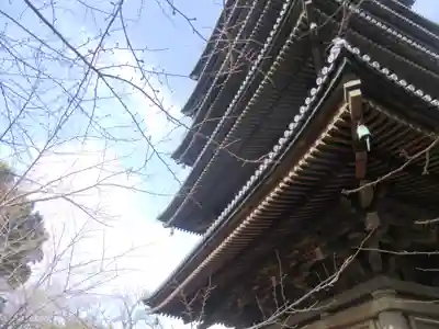 東寺（教王護国寺）(京都府)