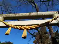 大井氷川神社(埼玉県)