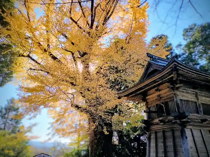 松尾寺(京都府)
