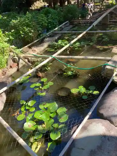 葛原岡神社の庭園