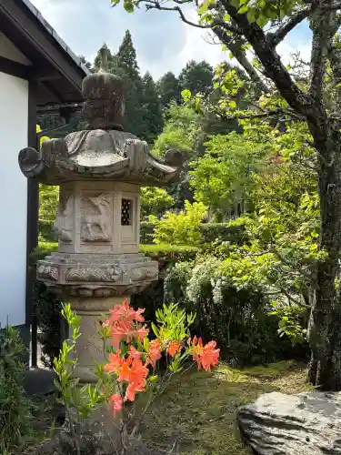 大池寺の{uncategorized: "未分類", other: "その他", undefined: "問題あり", building: "その他建物", grave: "お墓", sacred_gate: "鳥居", guardian: "狛犬", statue: "像", buddha: "仏像", history: "歴史", nature: "自然", garden: "庭園", animal: "動物", pagoda: "塔", temizu: "手水舎", mountain_gate: "山門・神門", sanctuary: "本殿・本堂", subordinate: "末社・摂社", art: "芸術", scenery: "景色", jizo: "地蔵", ema: "絵馬", goshuin: "御朱印", omikuji: "おみくじ", items: "授与品その他", amulet: "お守り", goshuincho: "御朱印帳", eats: "食事", festival: "お祭り", votive_dance: "神楽", shichigosan: "七五三参", wedding: "結婚式", experience: "体験その他", initially: "初詣", around: "周辺", anti_infection: "感染症対策"}