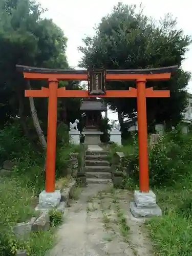 茅野稲荷神社の鳥居