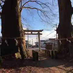 智賀都神社の建物その他