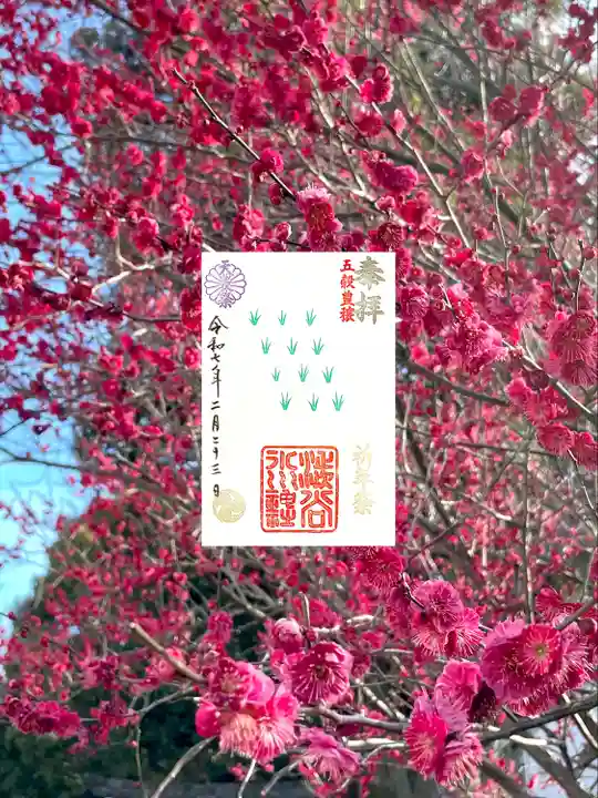 渋谷氷川神社(東京都)