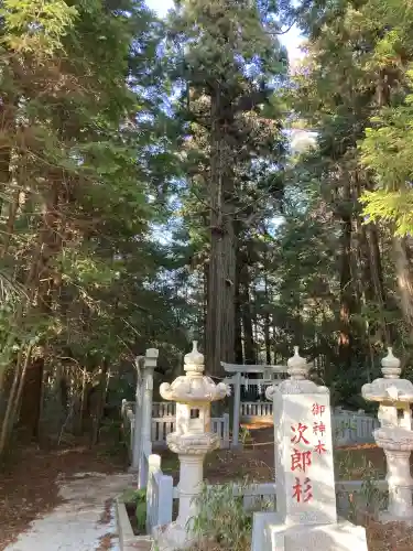 大杉神社の{uncategorized: "未分類", other: "その他", undefined: "問題あり", building: "その他建物", grave: "お墓", sacred_gate: "鳥居", guardian: "狛犬", statue: "像", buddha: "仏像", history: "歴史", nature: "自然", garden: "庭園", animal: "動物", pagoda: "塔", temizu: "手水舎", mountain_gate: "山門・神門", sanctuary: "本殿・本堂", subordinate: "末社・摂社", art: "芸術", scenery: "景色", jizo: "地蔵", ema: "絵馬", goshuin: "御朱印", omikuji: "おみくじ", items: "授与品その他", amulet: "お守り", goshuincho: "御朱印帳", eats: "食事", festival: "お祭り", votive_dance: "神楽", shichigosan: "七五三参", wedding: "結婚式", experience: "体験その他", initially: "初詣", around: "周辺", anti_infection: "感染症対策"}