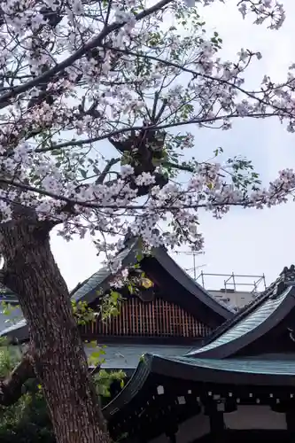 熊野神社(京都府)