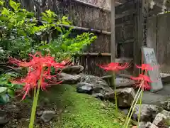 若狭神宮寺(福井県)