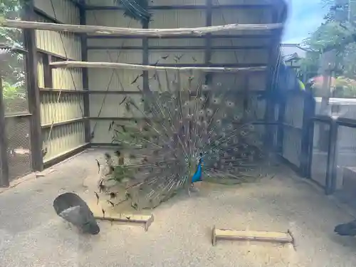 岩槻久伊豆神社(埼玉県)