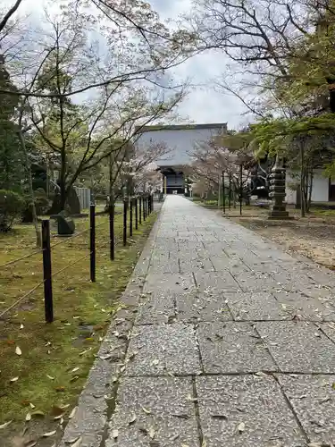 光明寺（粟生光明寺）(京都府)