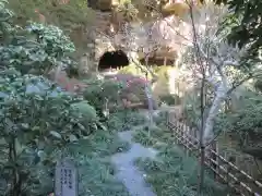 報国寺(神奈川県)