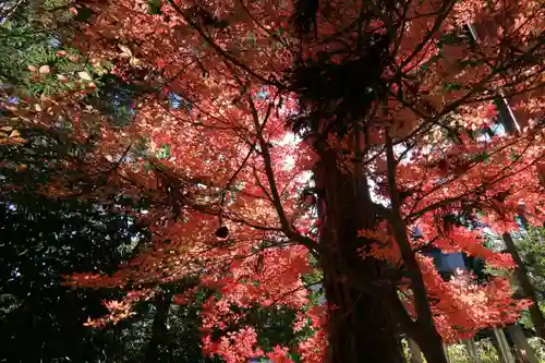 豊景神社の庭園