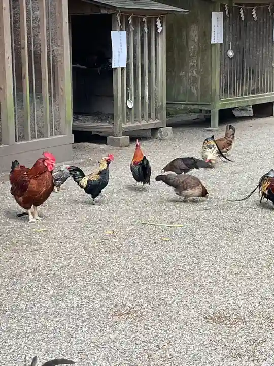 石上神宮(奈良県)