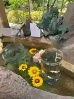 白山宮の手水舎