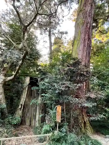 香取神宮の自然