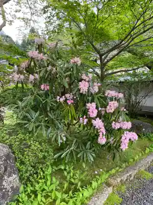 南院(和歌山県)