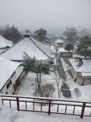 中禅寺の景色