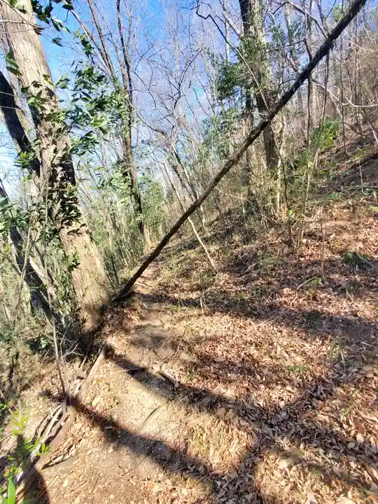 御嶽神社(利保町)(栃木県)