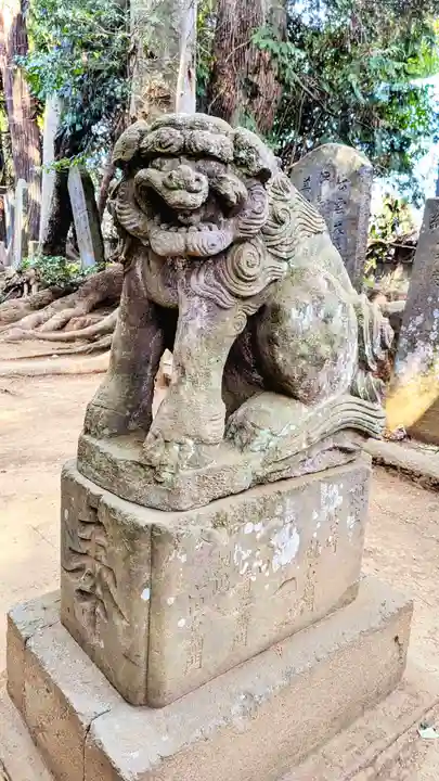 七百餘所神社 の狛犬