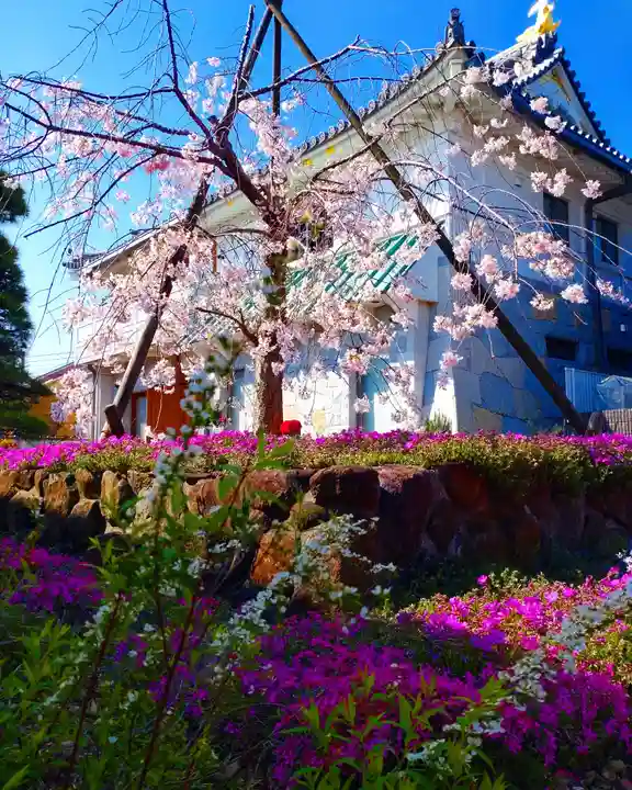 寿量山 速成寺の自然