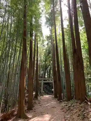 船木神社の自然