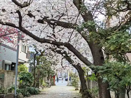 秋葉神社の自然