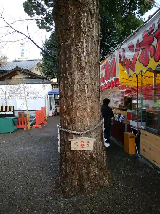 田無神社(東京都)