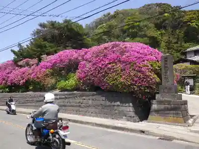安養院　(田代寺）の周辺