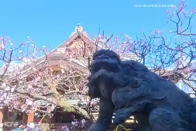 湯島天満宮(東京都)