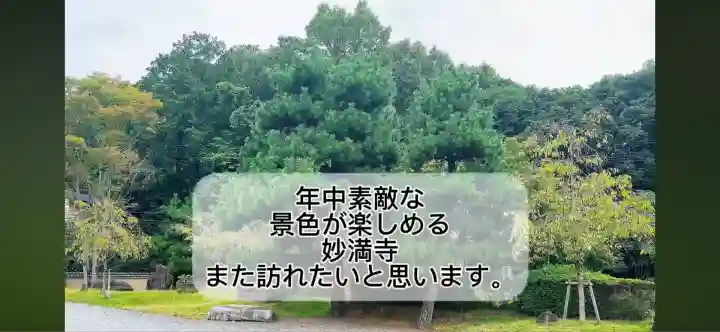 妙満寺(京都府)