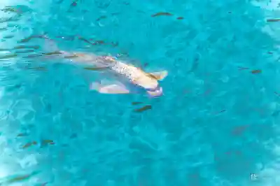 善寶寺(山形県)