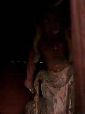 医王寺(埼玉県)