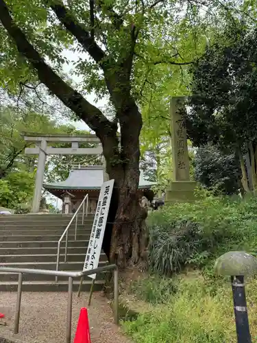 高岡市護国神社の自然