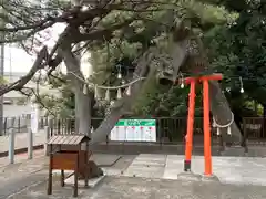 玉村八幡宮の庭園