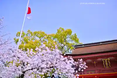 富士山本宮浅間大社(静岡県)