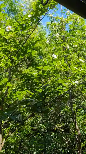 東林院(京都府)