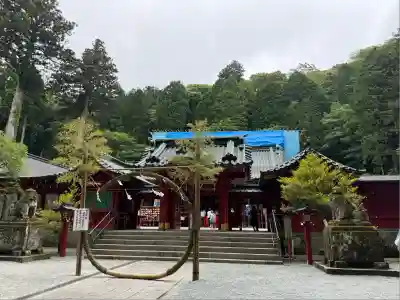 箱根神社(神奈川県)