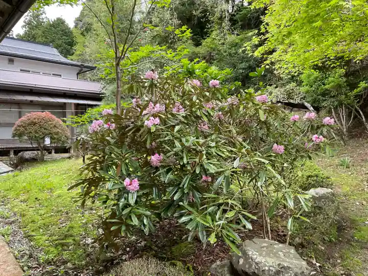 補陀洛院(和歌山県)