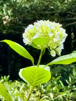 鏡神社(滋賀県)