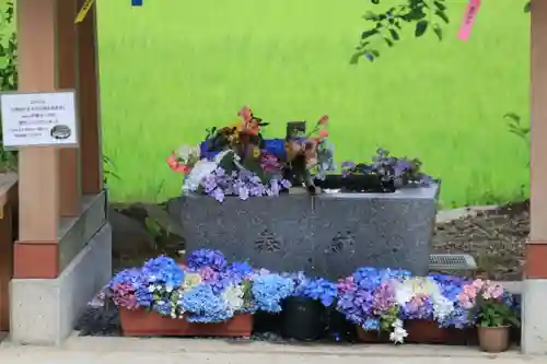 高司神社〜むすびの神の鎮まる社〜の手水舎