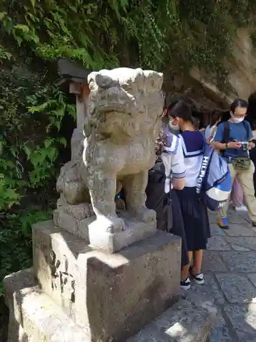 銭洗弁財天宇賀福神社の狛犬