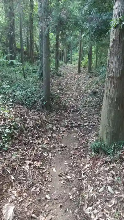 神社(名称不明)(茨城県)
