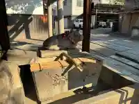 菅大臣神社の{uncategorized: "未分類", other: "その他", undefined: "問題あり", building: "その他建物", grave: "お墓", sacred_gate: "鳥居", guardian: "狛犬", statue: "像", buddha: "仏像", history: "歴史", nature: "自然", garden: "庭園", animal: "動物", pagoda: "塔", temizu: "手水舎", mountain_gate: "山門・神門", sanctuary: "本殿・本堂", subordinate: "末社・摂社", art: "芸術", scenery: "景色", jizo: "地蔵", ema: "絵馬", goshuin: "御朱印", omikuji: "おみくじ", items: "授与品その他", amulet: "お守り", goshuincho: "御朱印帳", eats: "食事", festival: "お祭り", votive_dance: "神楽", shichigosan: "七五三参", wedding: "結婚式", experience: "体験その他", initially: "初詣", around: "周辺", anti_infection: "感染症対策"}