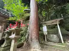 戸隠神社(奈良県)