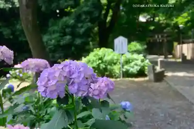 仙波東照宮(埼玉県)