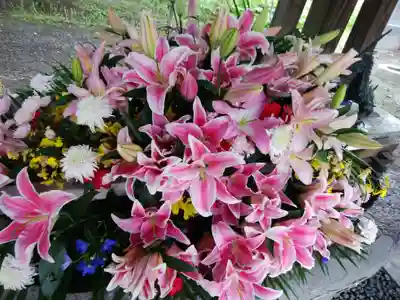 彌彦神社　(伊夜日子神社)の手水舎