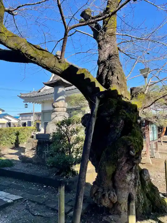 勝泉院(栃木県)