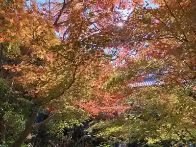 慈眼寺(大阪府)