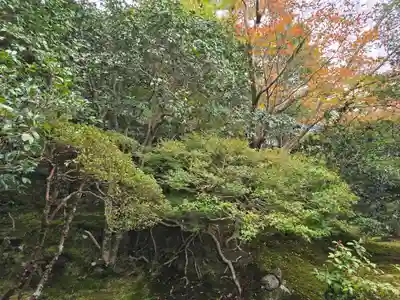 霊鑑寺門跡(京都府)
