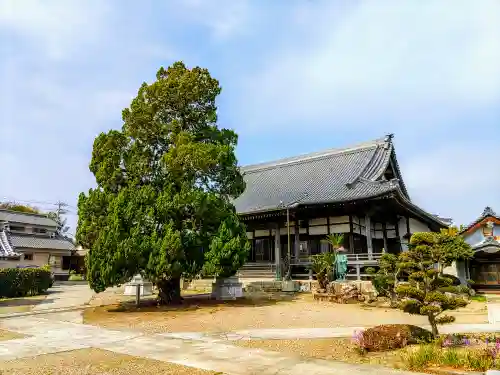 蓮念寺の本殿