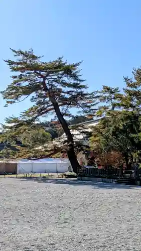 橿原神宮(奈良県)